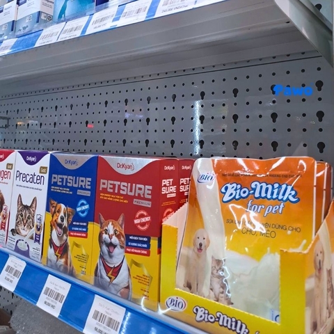 Mèo con nên uống sữa gì? Các loại sữa cho mèo sơ sinh