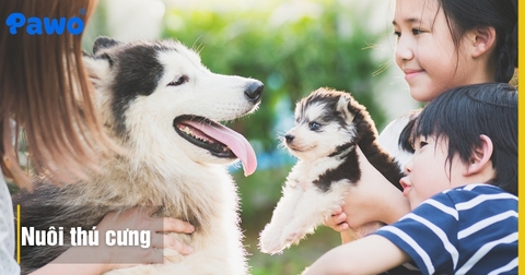 Có nên nuôi 2 thú cưng khác loài trong cùng một nhà?