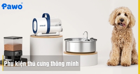Top 10 phụ kiện thú cưng thông minh giúp bạn rảnh tay