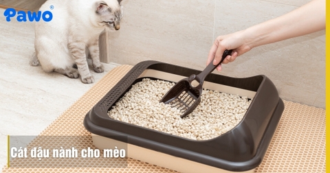 Review Cát Đậu Nành Cho Mèo: Xả Bồn Cầu Tiện Lợi & Khử Mùi Tốt