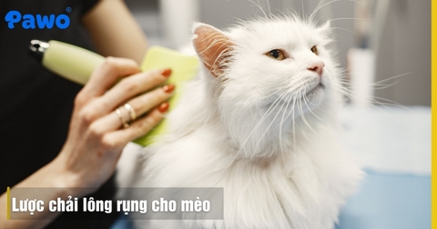 Review Lược Chải Lông Rụng Cho Mèo Có Nút Bấm Đẩy Lông Chuyên Dụng
