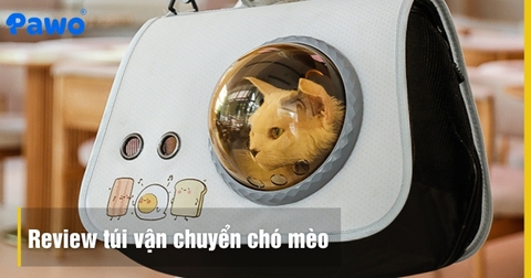 Review túi vận chuyển phi hành gia vs Túi vải: Loại nào tốt hơn?