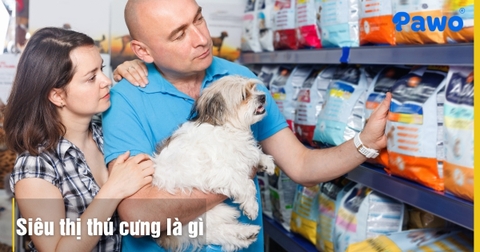 Siêu thị thú cưng là gì? Sự khác biệt so với tiệm thú cưng truyền thống