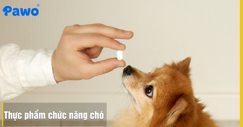Review các dòng thực phẩm chức năng hỗ trợ xương khớp cho chó