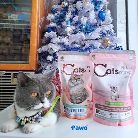 Review Hạt Catsrang Cho Mèo: Sự Thật Về Dòng Hạt 