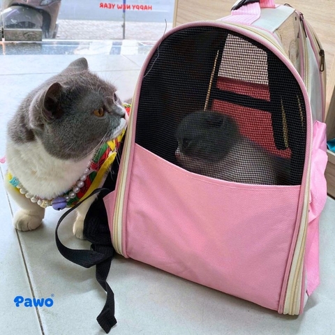 Túi vận chuyển chó mèo: 5 Kinh nghiệm chọn size chuẩn giúp Boss thoải mái nhất