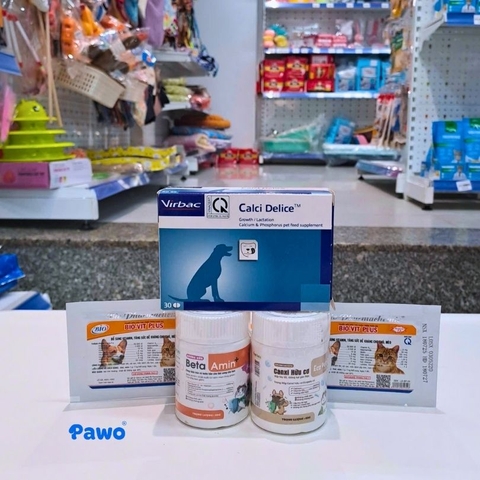 Vitamin và Canxi cho chó: Khi nào cần bổ sung?