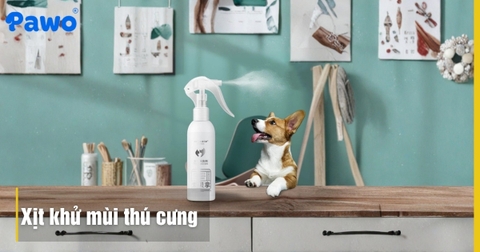 Xịt khử mùi phụ kiện thú cưng loại nào tốt và an toàn nhất?