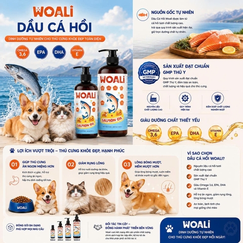Dầu Cá Hồi Woali Cho Chó Mèo, Ăn Ngon Miệng, Da Khỏe, Lông Mượt, Giảm Rụng Lông 100ml PAWO