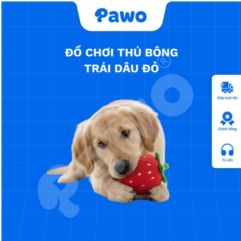 Đồ chơi thú bông trái dâu đỏ - PAWO