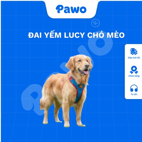 Đai yếm Lucy cho chó mèo - PAWO