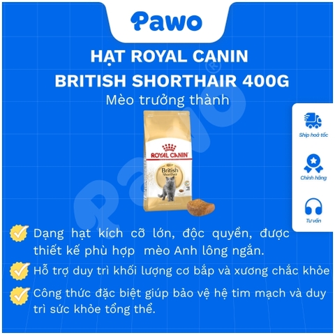 Hạt Royal Canin British Shorthair