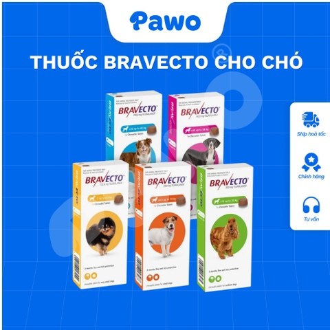 Thuốc Bravecto cho chó - PAWO