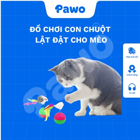 Đồ chơi con chuột lật đật cho mèo