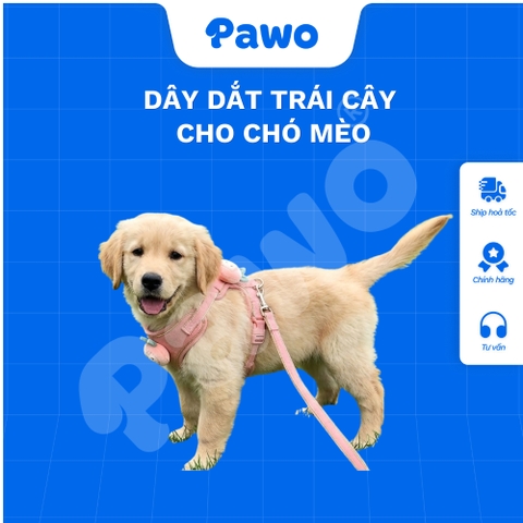 Dây dắt trái cây cho thú cưng - PAWO
