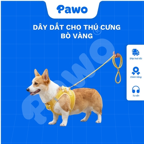 Dây dắt bò sữa - Vàng cho thú cưng - PAWO
