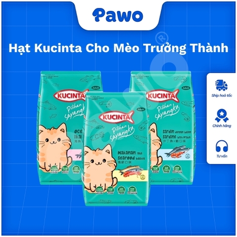 Hạt Kucinta Cho Mèo Mọi Lứa Tuổi PAWO