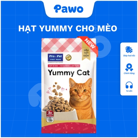 Hạt Yummy Cat PAWO
