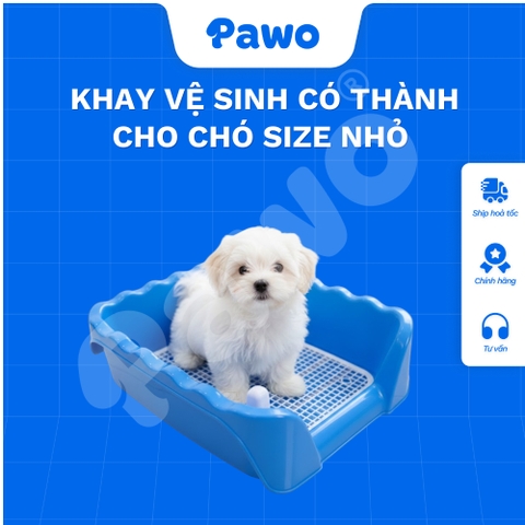 Khay vệ sinh có thành cho chó size nhỏ 38*38*13 - PAWO