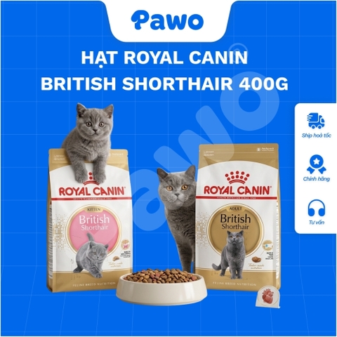 Hạt Royal Canin British Shorthair