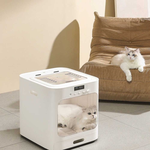 Thiết bị thông minh