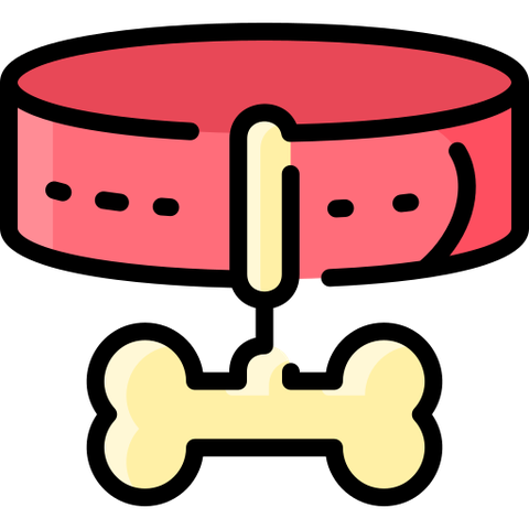 Phụ kiện & thời trang