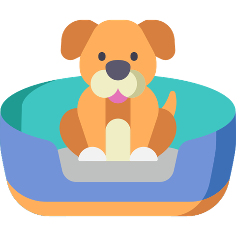 Giường & chỗ ngủ