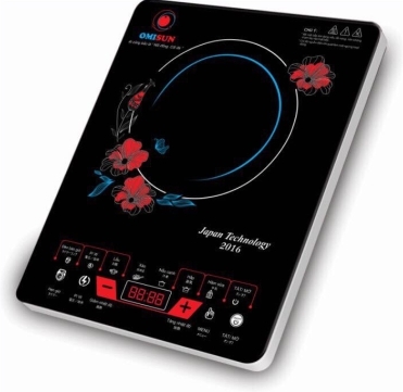 BẾP TỪ BT100