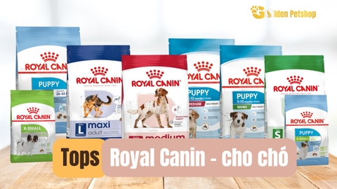 Thức ăn hạt cho chó Royal Canin - theo kích cở của chó