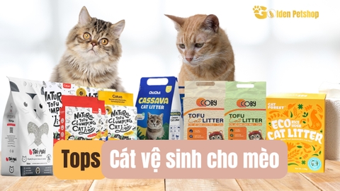 Cát vệ sinh cho mèo nào Vón tốt - không bụi - khử mùi