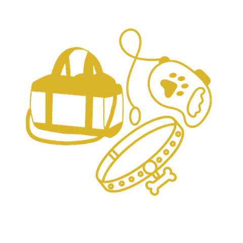 Thời trang chó mèo