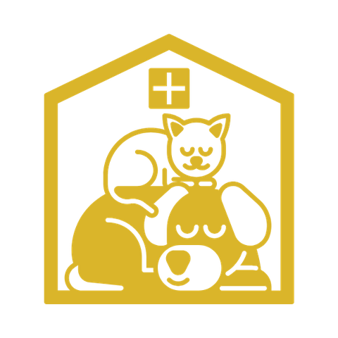 Vật dụng chó mèo