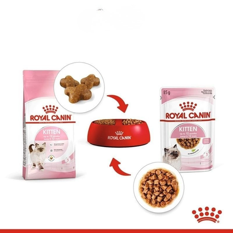 Pate Royal Canin Kitten cho mèo con 85g