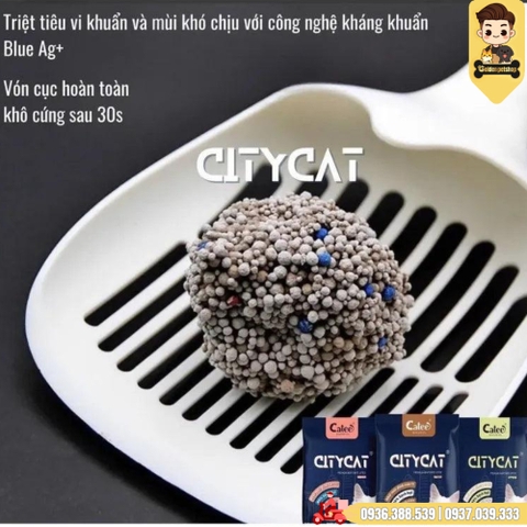 Cát vệ sinh cho mèo - Cát đất sét City Cat 8L/4kg