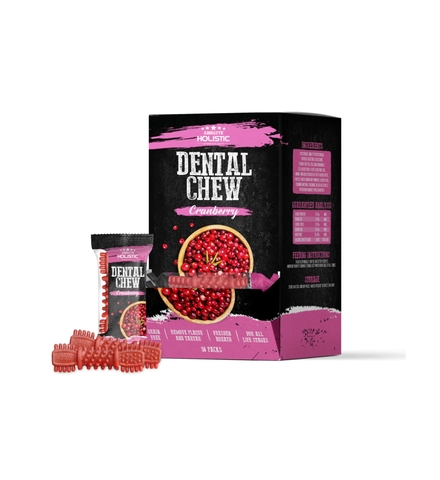 Xương gặm ABSOLUTE HOLISTIC DENTAL CHEW Fresh Mint 1