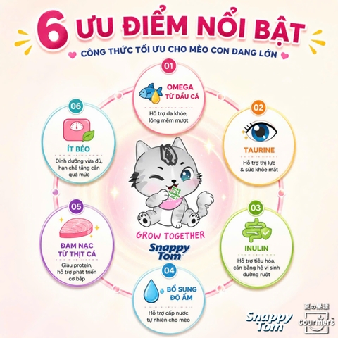 Snappy Tom trái cây mèo con