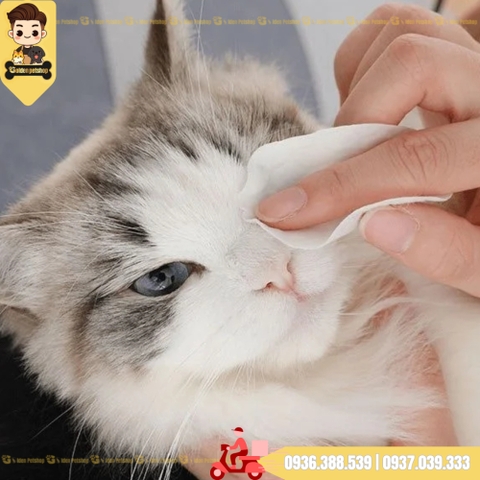 Khăn ướt lau mắt cho chó mèo, tiện lợi SOS - Hộp 100 miếng