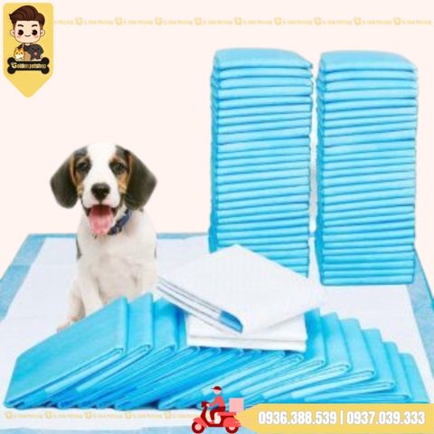 Tấm/ tả lót cho chó mèo đi vệ sinh, lót ổ đẻ - Nhiều kích cở