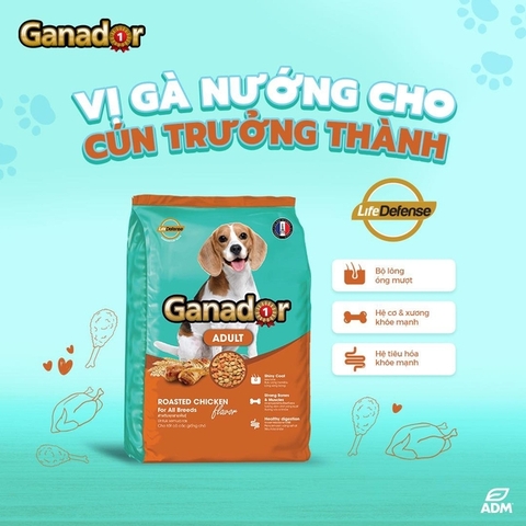 Thức ăn cho chó lớn vị gà nướng - Ganador