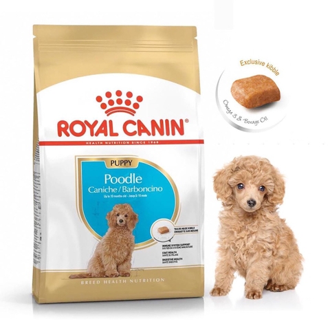 Thức ăn cho chó Royal Canin Poodle Puppy - Giống chó Poodle dưới 10 tháng tuổi