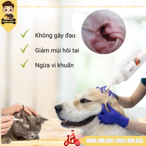 Bột nhổ lông tai Pettis cho chó poodle, chó lông xoăn