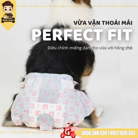 Tả, Bỉm cho chó Cái Fofos - Nhiều kích cở