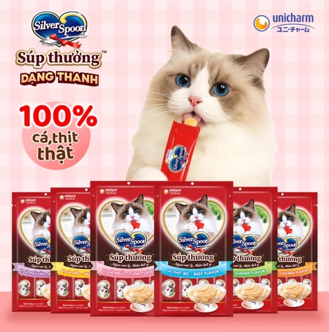 Súp thưởng Silver Spoon