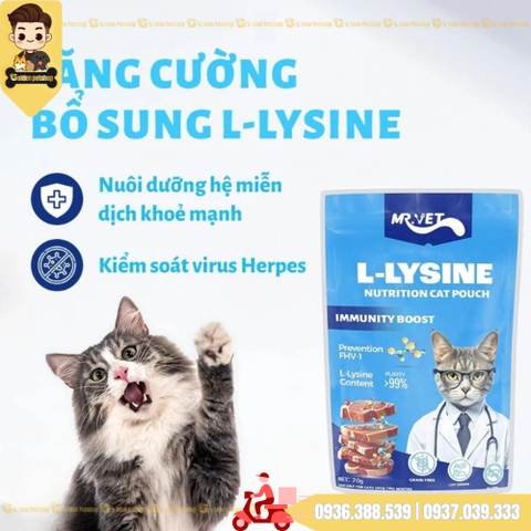 Pate cho mèo Mr Vet - gói 70g