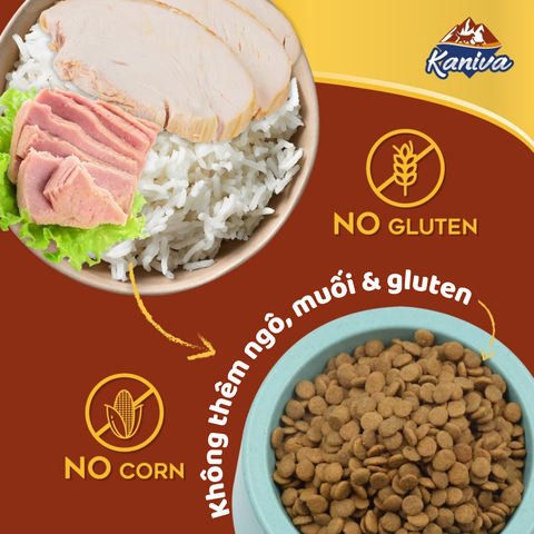Thức ăn hạt dành cho mèo Kaniva mèo Vị Gà Cá ngừ - Chicken&Tuna