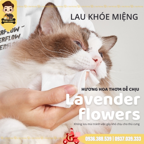 Khăn ướt kháng khuẩn cho thú cưng FOFOS - gói 80 miếng