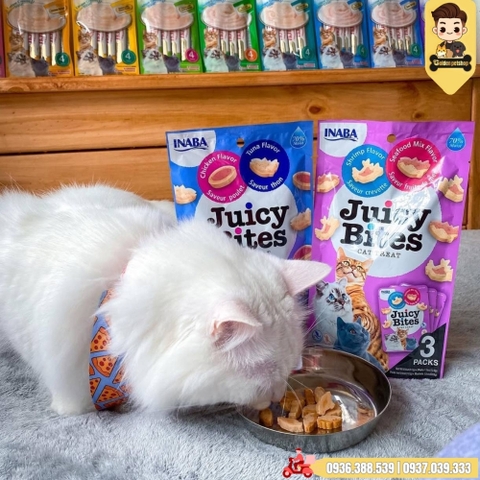 Bánh thưởng mềm cho Mèo INABA Juicy Bites - Nhiều vị