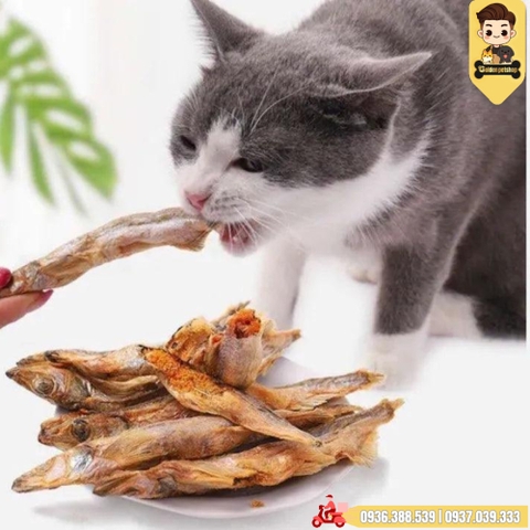 Thức ăn sấy - Đồ sấy dành cho chó mèo