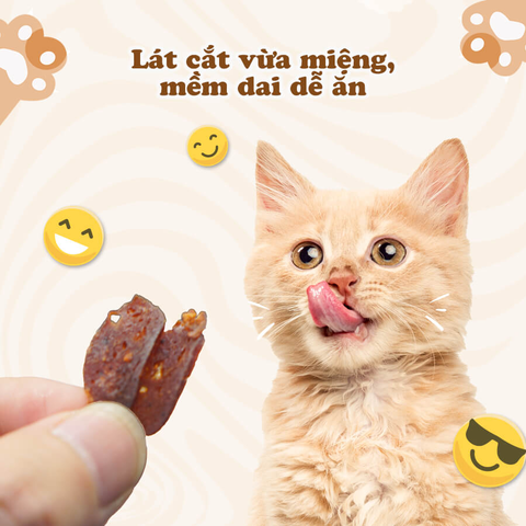 Bánh thưởng Chip Cá ngừ cho mèo Cattyman 30g