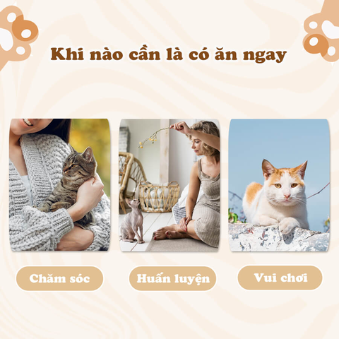 Bánh thưởng Chip Cá ngừ cho mèo Cattyman 30g